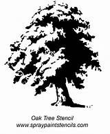 Tree Stencil Oak Svg Outline Silhouette Angel Trees Cliparts Stencils Clipart Spray Liverpool Surgeons 24kb Library sketch template