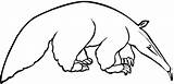 Anteater Oso Hormiguero Colorear Coloring4free Aardvark Colouring Bestcoloringpagesforkids Anteaters sketch template
