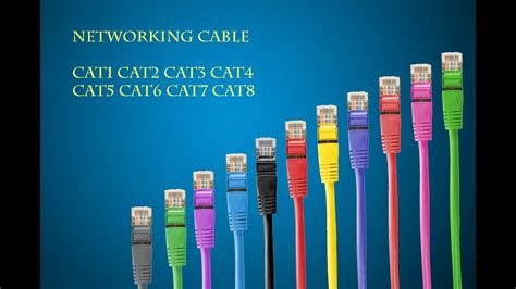 difference  cat cat cat cat cat cat cat cat cable  ethernet cables  lan cables