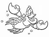 Sebastian Coloring Pages Color Mermaid Little Printable Disney Flounder sketch template