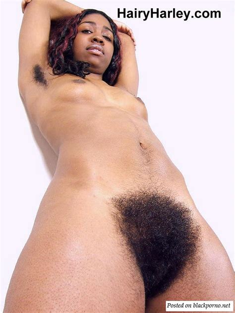 Hairy Harley Pictures Black Porno Network