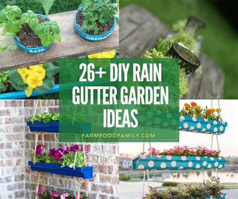 diy vertical rain gutter garden ideas  small
