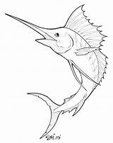 Marlin Swordfish Pez Sailfish Peixe Espada Peces Colorir Boat Fishing Aquarela Coloringbay Sharpie sketch template