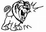 Lion Clipart Roaring Clip Roar Cartoon Lions Cliparts Face Hungry Medieval African Clipartix Library Clipartmag Lioness Find Clipartbest Use Clipground sketch template
