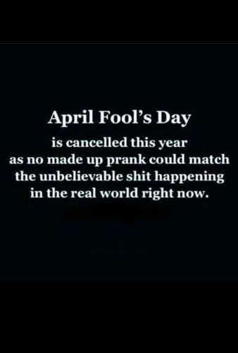 april fool s day 2020 memes wishes messages and images funny memes and