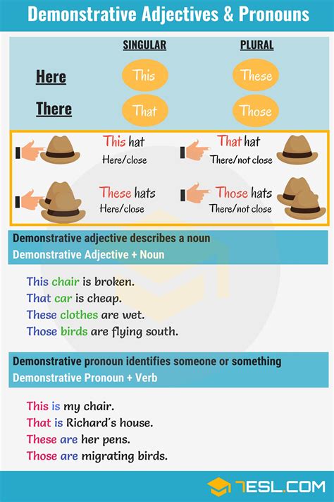 adjective definition rules  examples  adjectives esl