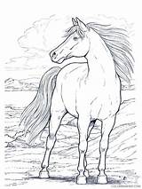 Horse Coloring Pages Realistic Coloring4free Related Posts sketch template