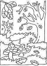 Herfst Kleurplaten Paddestoel Automne Paddestoelen Eekhoorn Toamna Maternelle Bos Peisaje Dieren Colorat Desene Kleuren Uitprinten sketch template