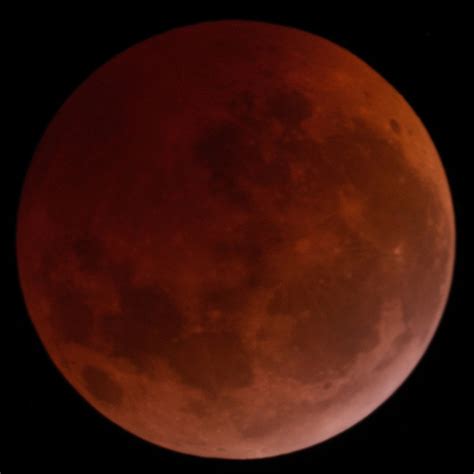 lunar  astrophotography  ambrose liao full lunar eclipse