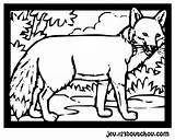 Fox Coloring Printable Terry Colouring Pages Genial Coloriage Renard sketch template