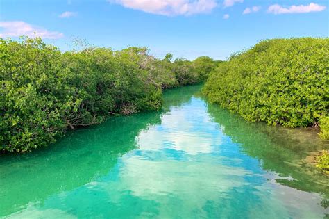 sian kaan biosphere reserve mexico wellatrocom