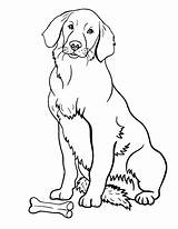 Retriever Golden Labrador Dog Coloring Puppy Pages Drawing Printable Värityskuvia Drawings Puppies Tulostettavia Sitting Getdrawings Koirat Väritystehtäviä Koira Pixshark Pdf sketch template