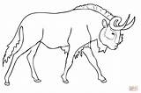 Wildebeest Gnu Coloring Pages Color Printable Realistic Blue Supercoloring Antelope Categories sketch template