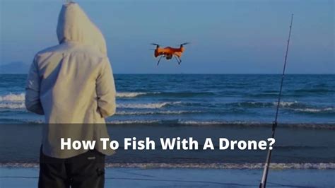 fish   drone  drones pro