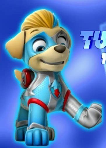 paw patrol characters   time siachen studios