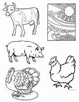 Meat Coloring Pages Protein Food Preschool Animals Color Group Printable Book Getcolorings Harvest Week Print sketch template