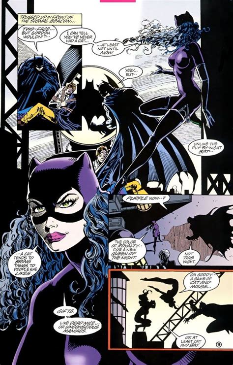 140 best images about catwoman on pinterest cats jim o rourke and catwoman