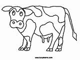 Cow Coloring Pages Cows Color Moo Clack Click Type Gif Kids Fil Chick Cliparts Clipart Print Google Drawing Animal Pic sketch template