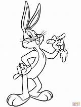 Bunny Bugs Coloring Pages Lola Cartoon Carrot Bug Gangster Looney Printable Toons Print Drawing Drawn Color Tunes Colouring Supercoloring Disney sketch template
