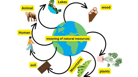 natural resources  definition types  full detail