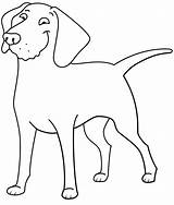 Retriever Cani Colorare Simpatici Perros Ausmalbilder Supercoloring Retrievers Terrier Hunde Divertenti Ausmalbild Bellissimi Sheets sketch template