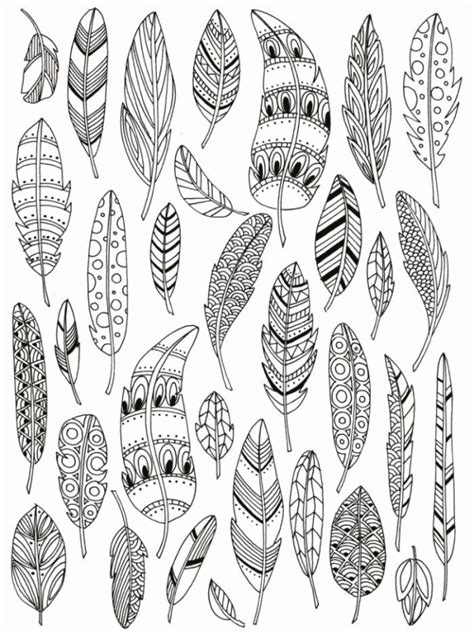 feathers coloring page coloring home