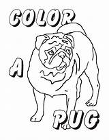 Pug Coloring Pages Puppy Print Colouring Pugs Printable Baby Dog Kids Printables Getdrawings Getcolorings Color Clipart Dogs Squishy Gif Drawing sketch template