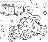 Nemo Finding Coloring Pages Turtle Fish Bruce Printable Sheets Color Pdf Getcolorings Marlin Colorin Willpower Printables Popular sketch template