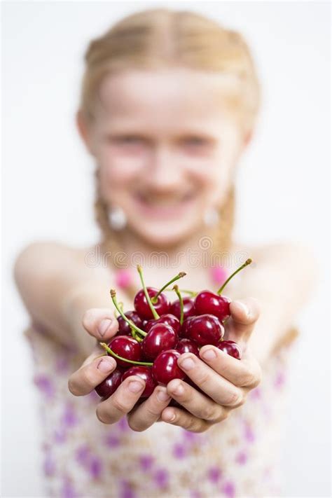 Ripe And Juicy Red Cherry Stock Image Image Of Nature 119883473