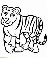 Harimau Mewarnai Tigre Marimewarnai Kartun Colorironline Paud Sd Feio Borop Bukaninfo Tigress Belajar sketch template