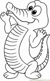 Coloring Pages Crocodile Printable Printables Top Online Toddlers Alligator sketch template