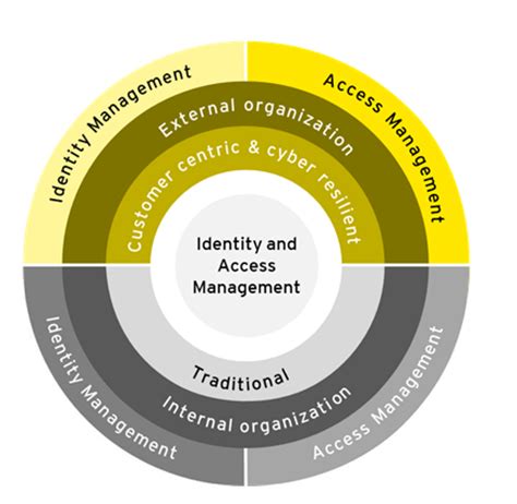 elevating identity  access management   digital era fintech