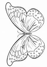 Butterfly Coloring Pages Colouring Wings Printable Kids Butterflies Outline Template Online Clipart Drawing Unique Parents Young Morpho Blue Print Crafts sketch template