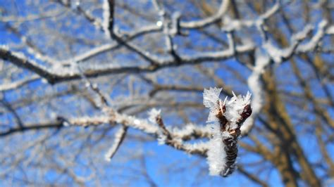 frosty night  southern ontario environment canada issues advisory