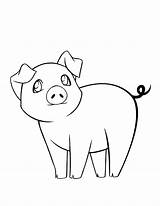 Pig Coloring Pages Drawing Pigs Drawings Cute Baby Printable Google Draw Line Animals Flying Search Kids Print Easy Color Cartoon sketch template