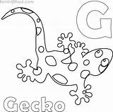 Gecko Coloringfolder sketch template