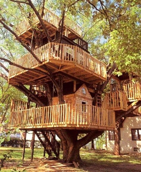 journey   featherless real life treehouses