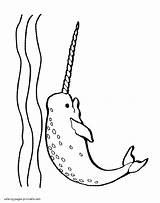 Coloring Pages Narwhal Animals Sea Printable Unicorn Fish sketch template