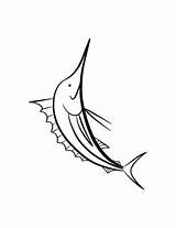 Zwaardvis Schwertfisch Swordfish Ausmalbilder Malvorlage Stemmen Stimmen sketch template