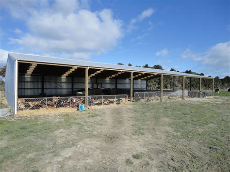 building  perfect calf shed