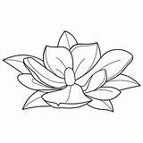 Magnolia Flower Coloring Book sketch template