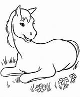 Horse Pages Coloring Printable Horses Kids sketch template