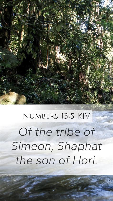 numbers  kjv mobile phone wallpaper   tribe  simeon shaphat  son