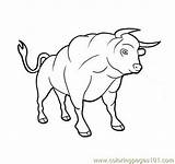 Bull Coloring Brahman Designlooter Pages sketch template