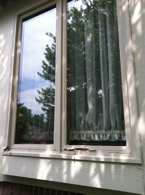 replacement windows jeld wen replacement window parts