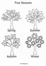 Seasons Four Tree Activities Coloring Pages Winter Colouring Printable Kids Spring Sheets Booklet Grade sketch template