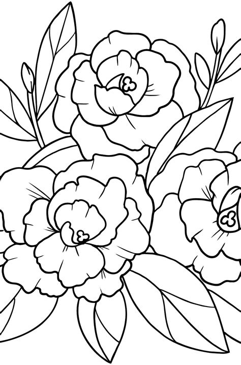 peony coloring page  shape peony drawing flower drawing flower