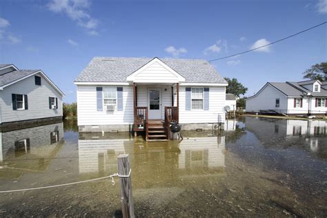 insights tips  reduce  impact  flooding   home