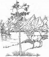 Coloring Pages Yellowstone National Park Landscape Printable Book Teton Vacation Nature Woods Range Realistic Kids Animals Wyoming Color Drawing Cabin sketch template