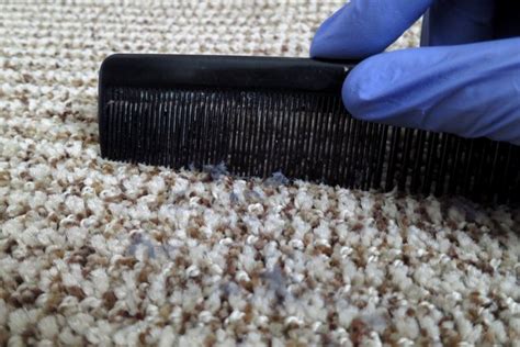 remove duct tape residue  carpet hunker